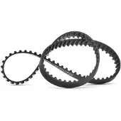 RIDEX 306T0151 Distributieriem