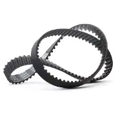 RIDEX 306T0243 Distributieriem