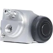 CIFAM 101-954 Wielremcilinder