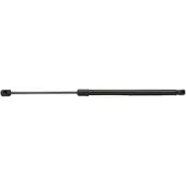 RIDEX 219G0044 Gasveer achterklep
