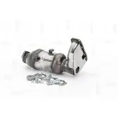 NAP carPARTS CAK10132 Katalysator
