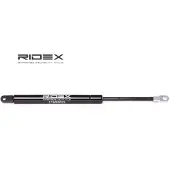 RIDEX 219G0053 Gasveer achterklep