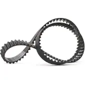 RIDEX 306T0255 Distributieriem