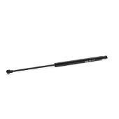 MAGNETI MARELLI 430719089000 Gasveer