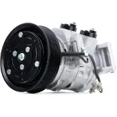 RIDEX 447K0319 Aircopomp