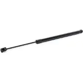 RIDEX 219G1006 Gasveer achterklep