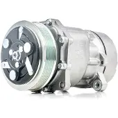 RIDEX 447K0080 Aircopomp