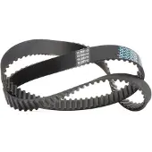 DAYCO 94730 Distributieriem