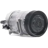 RIDEX 447K0254 Aircopomp
