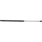RIDEX 219G0300 Gasveer achterklep