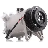 RIDEX 447K0133 Aircopomp
