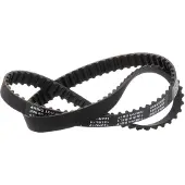 RIDEX 306T0166P Distributieriem