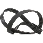 RIDEX 306T0086P Distributieriem