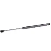 RIDEX 219G0892 Gasveer achterklep
