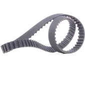 RIDEX 306T0062 Distributieriem