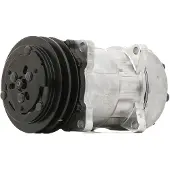 RIDEX 447K0614 Aircopomp
