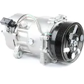 RIDEX 447K0060 Aircopomp