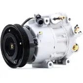 RIDEX 447K0221 Aircopomp