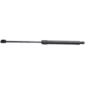 RIDEX 219G0048 Gasveer achterklep