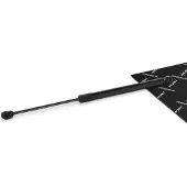 RIDEX 219G1243 Gasveer achterklep