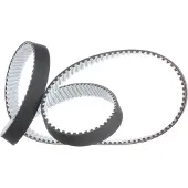 DAYCO 94987 Distributieriem