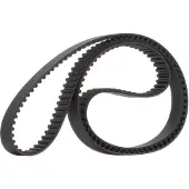 RIDEX 306T0176 Distributieriem