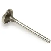 IPSA VL182900 Uitlaatklep