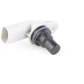RIDEX 833C0057 Krukassensor