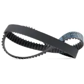 DAYCO 941117 Distributieriem