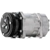 RIDEX 447K0066 Aircopomp