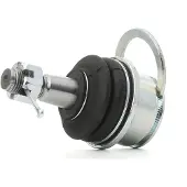 RIDEX 2462S0419 Fuseekogel