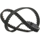 RIDEX 306T0066P Distributieriem