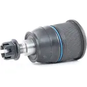 RIDEX 2462S0261 Fuseekogel