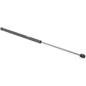 RIDEX 514G0082 Gasveer motorkap