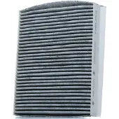 Delphi TSP0325204C Interieurfilter