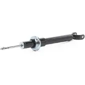 RIDEX 854S19208 Schokdemper