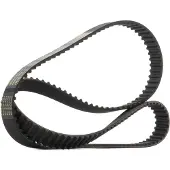 RIDEX 306T0060P Distributieriem