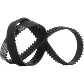RIDEX 306T0205P Distributieriem
