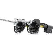RIDEX 854S18998P Schokdemper