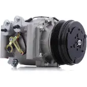 RIDEX 447K0211 Aircopomp