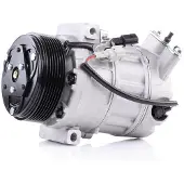 RIDEX 447K0007 Aircopomp