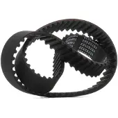 RIDEX 306T0291 Distributieriem