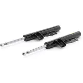 RIDEX 854S19310P Schokdemper
