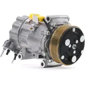 RIDEX 447K0260 Aircopomp