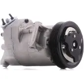 RIDEX 447K0191 Aircopomp