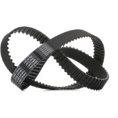 RIDEX 306T0121P Distributieriem