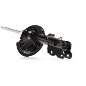 RIDEX 854S0818 Schokdemper