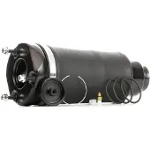 RIDEX 4119A0035 Luchtbalg