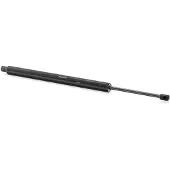 RIDEX 219G0262 Gasveer achterklep
