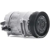 RIDEX 447K0263 Aircopomp
